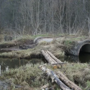 А это место, со стороны намного безобидней, чем из машины.