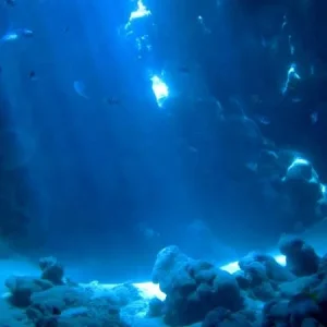 Изображение 211