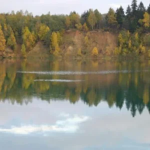 Карьер. Затопленный лес
