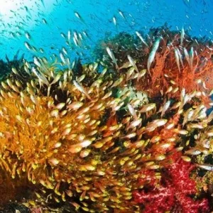 689 RU 02