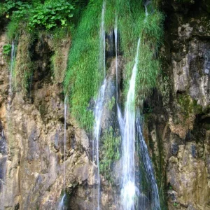 IMG 0613