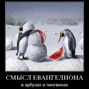 Пингвины в Астрахани