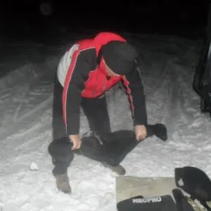 Шатура 12.01 (12)