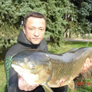 амур