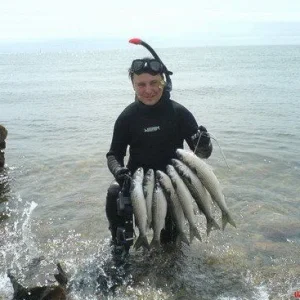 Лобаны. Владивосток, лето 2007.