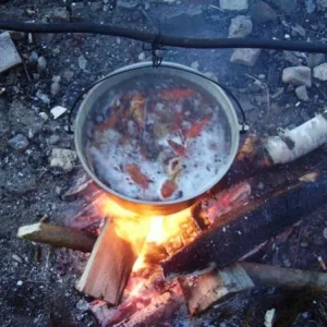 раки