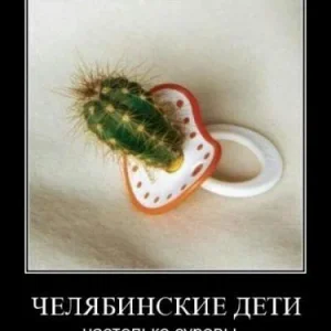 1280823590 fhfh