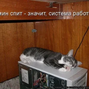 1294684541 76a18df7c9bb306c71d25f10b3b8d325 full