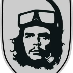 на рено, гравировка лазером на серебристом пластике
