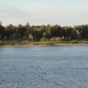 Дон