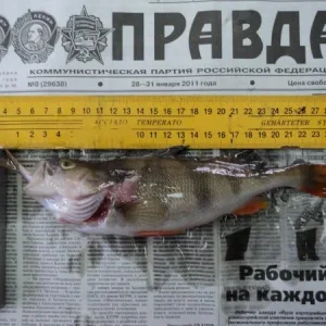 ок...