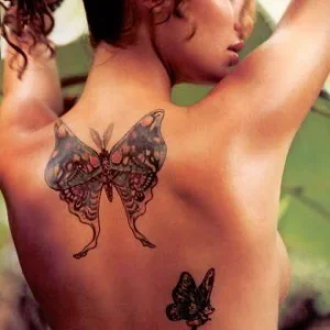 butterfly11