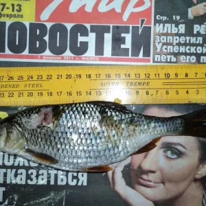 Плотва...