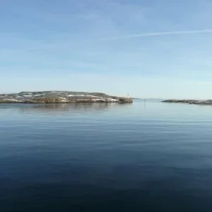 P1010127