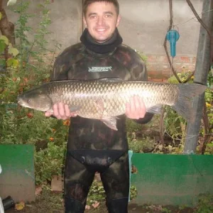амурчик