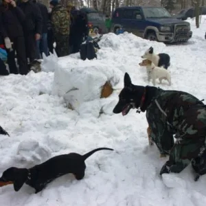 Съезд собаководов