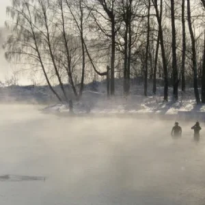 ёжики в тумане))