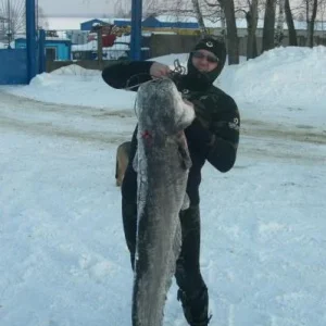 сомик 27кг, 170см.