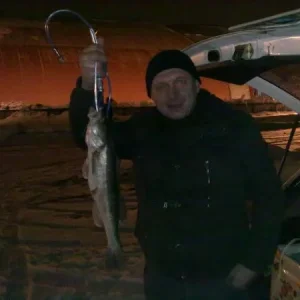 На безрыбьи и .....