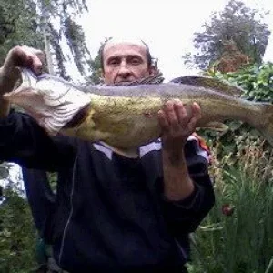 Img05D8