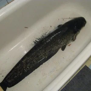IMG 1969