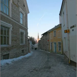 IMG 3627
