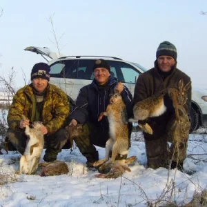 Зайцев погоняли.