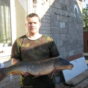 IMG 1864 Сазан на 8кг.
