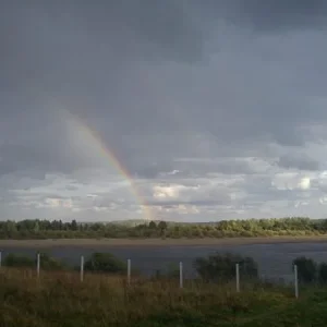 Вид из окна...