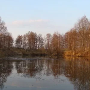DSC03619