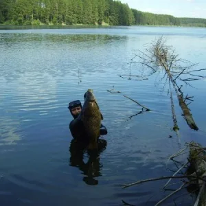 8кг
