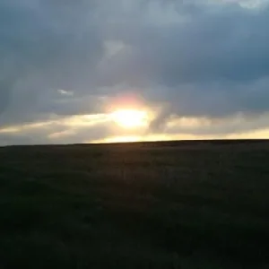 DSC02559