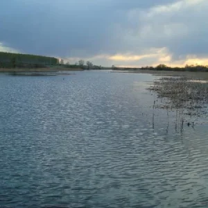 DSC02538