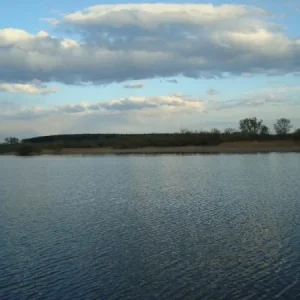 DSC02544