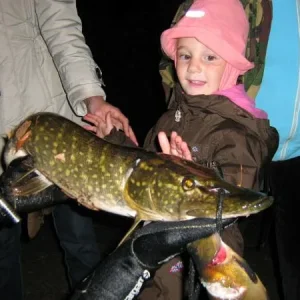 осень 2009