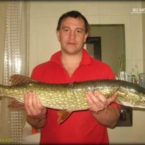 Щука 4.5 кг Илеть 9.02.2011г