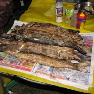 спасибо ребятам за копченую щучку