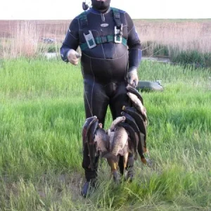 Макар, сказал, больше рыбы нет ...