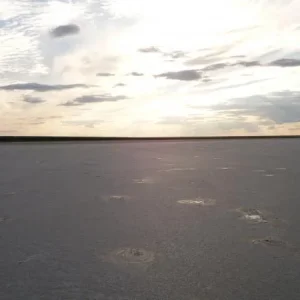 DSCF1091