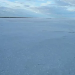 DSCF1088