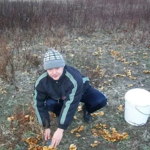 опята