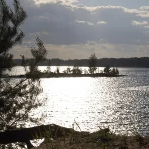 DSC 0028