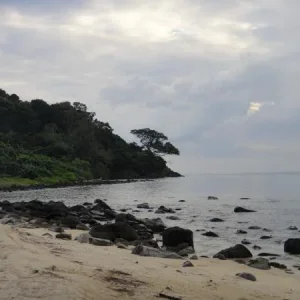 DSC01178