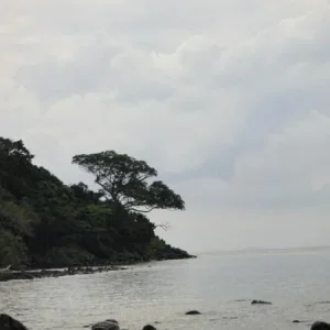 DSC01180