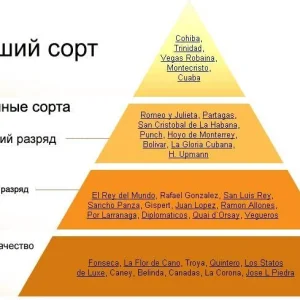 Безымянный