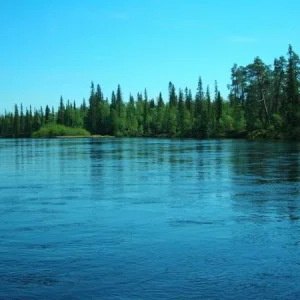 DSCN1139