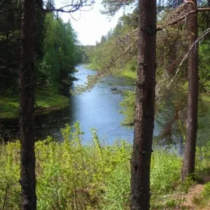 DSCN1372