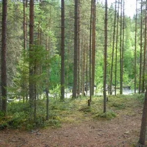 DSCN1374