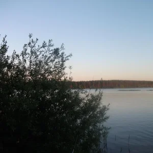 DSCF0577