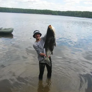 17 кг